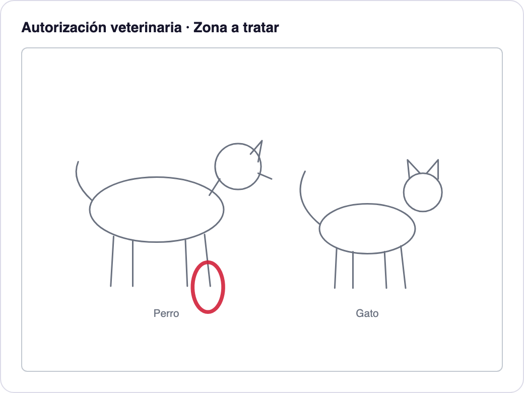 Autorización veterinaria con la zona a tratar